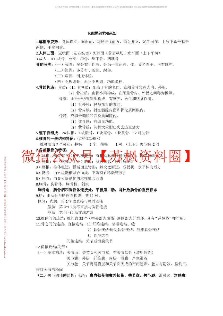 功能解剖学
